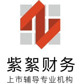 上海財務咨詢公司